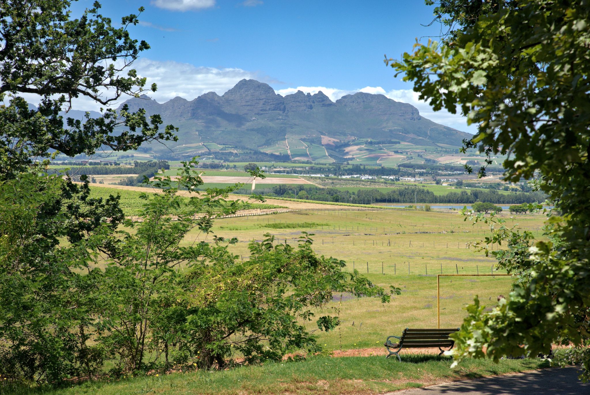 Neethlingshof Estate